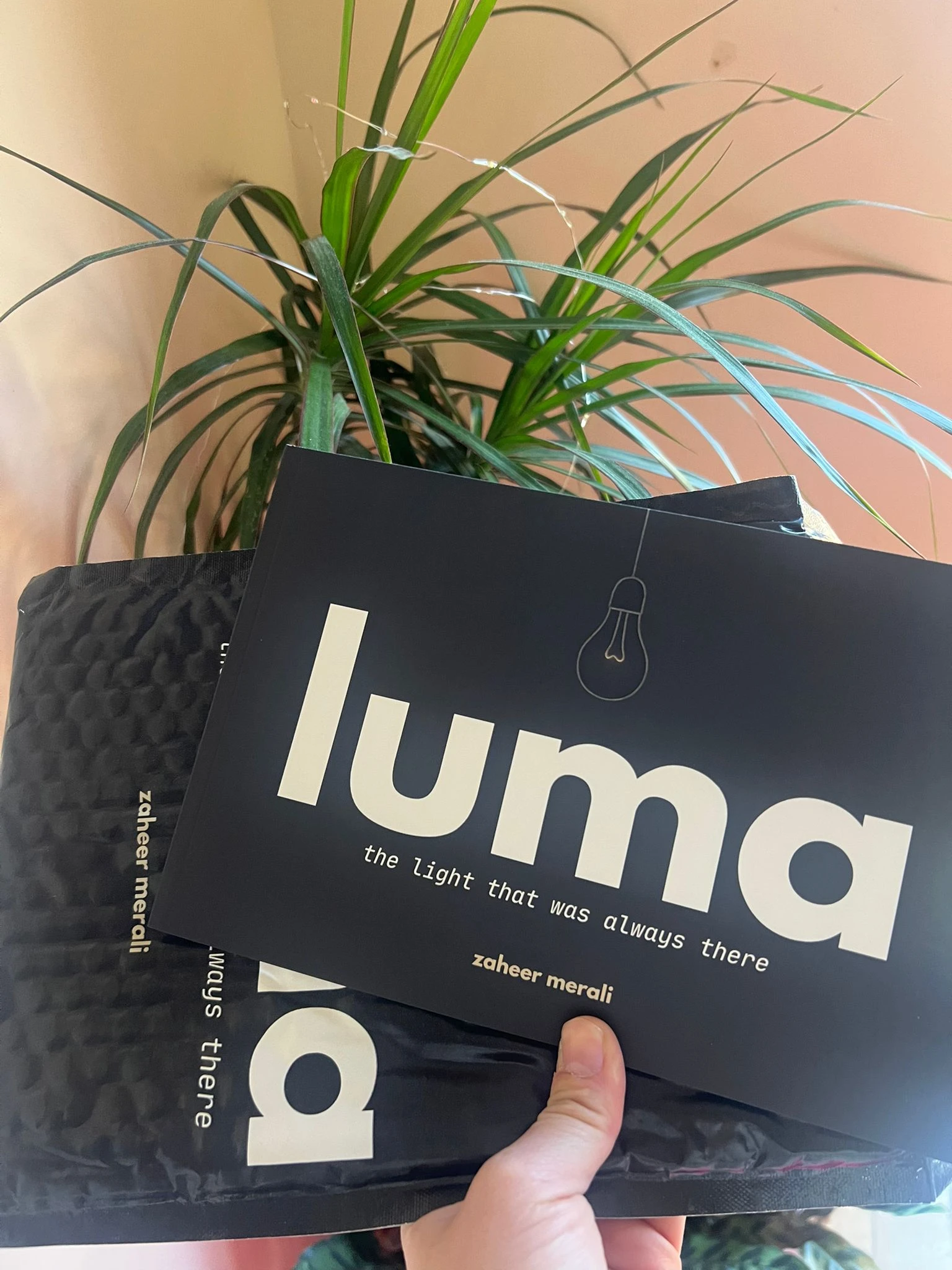 luma held in hand